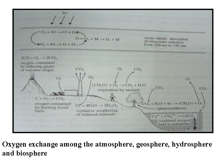 Oxygen exchange among the atmosphere, geosphere, hydrosphere and biosphere 