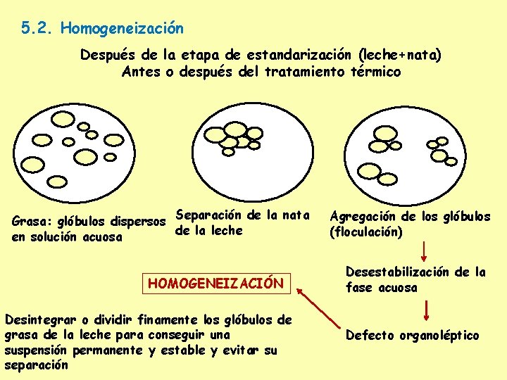 5. 2. Homogeneización Después de la etapa de estandarización (leche+nata) Antes o después del