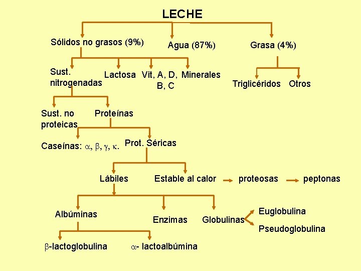 LECHE Sólidos no grasos (9%) Agua (87%) Sust. Lactosa Vit, A, D, Minerales nitrogenadas