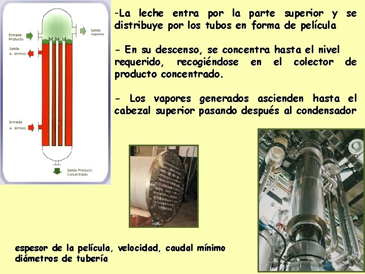 -La leche entra por la parte superior y se distribuye por los tubos en