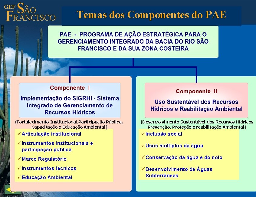 ÃO S FRANCISCO GEF Temas dos Componentes do PAE (Fortalecimento Institucional, Participação Pública, Capacitação