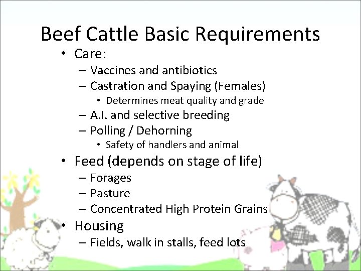 Beef Cattle Basic Requirements • Care: – Vaccines and antibiotics – Castration and Spaying Beef Cattle Basic Requirements • Care: – Vaccines and antibiotics – Castration and Spaying