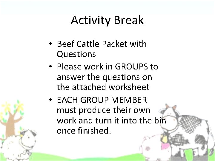 Activity Break • Beef Cattle Packet with Questions • Please work in GROUPS to Activity Break • Beef Cattle Packet with Questions • Please work in GROUPS to