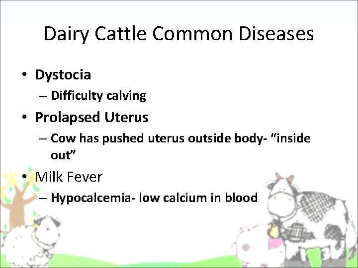 Dairy Cattle Common Diseases • Dystocia – Difficulty calving • Prolapsed Uterus – Cow Dairy Cattle Common Diseases • Dystocia – Difficulty calving • Prolapsed Uterus – Cow
