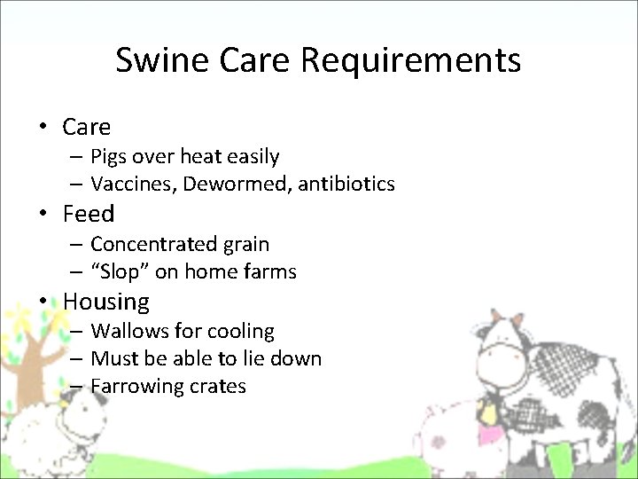 Swine Care Requirements • Care – Pigs over heat easily – Vaccines, Dewormed, antibiotics Swine Care Requirements • Care – Pigs over heat easily – Vaccines, Dewormed, antibiotics