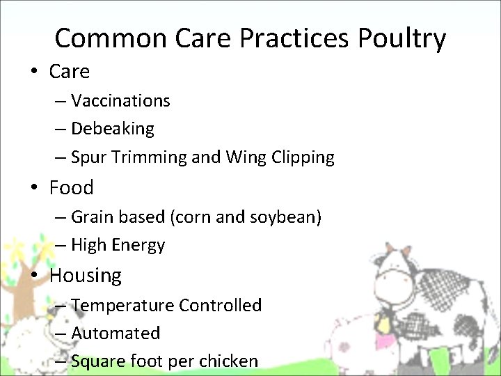 Common Care Practices Poultry • Care – Vaccinations – Debeaking – Spur Trimming and Common Care Practices Poultry • Care – Vaccinations – Debeaking – Spur Trimming and