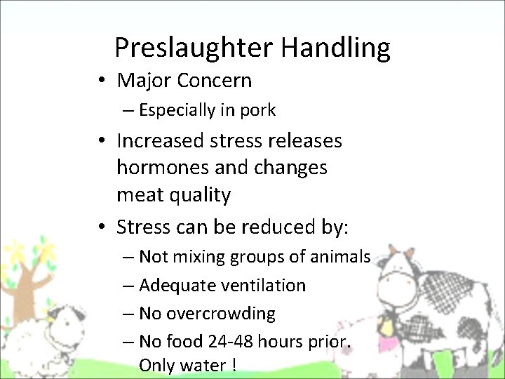 Preslaughter Handling • Major Concern – Especially in pork • Increased stress releases hormones Preslaughter Handling • Major Concern – Especially in pork • Increased stress releases hormones