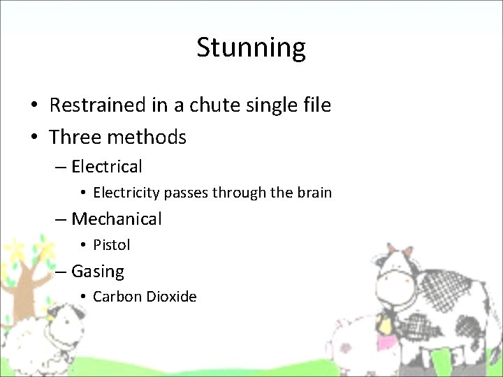 Stunning • Restrained in a chute single file • Three methods – Electrical • Stunning • Restrained in a chute single file • Three methods – Electrical •