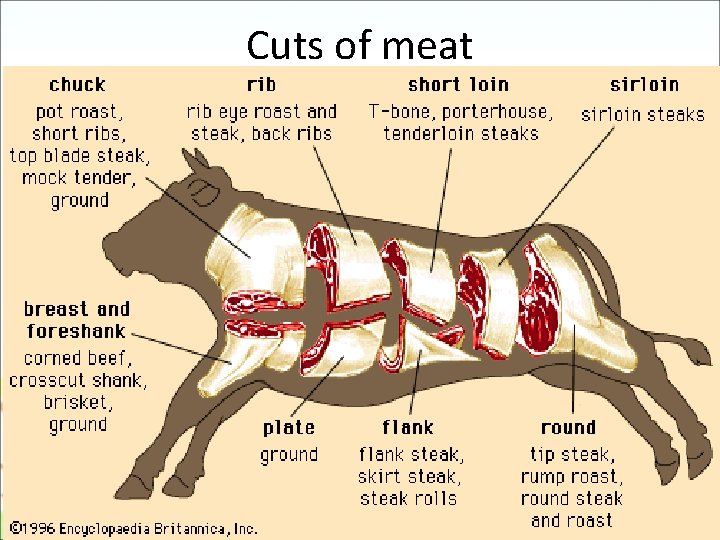 Cuts of meat Cuts of meat