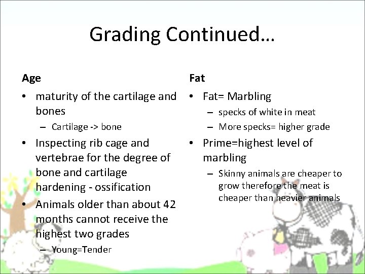 Grading Continued… Age Fat • maturity of the cartilage and • Fat= Marbling bones Grading Continued… Age Fat • maturity of the cartilage and • Fat= Marbling bones