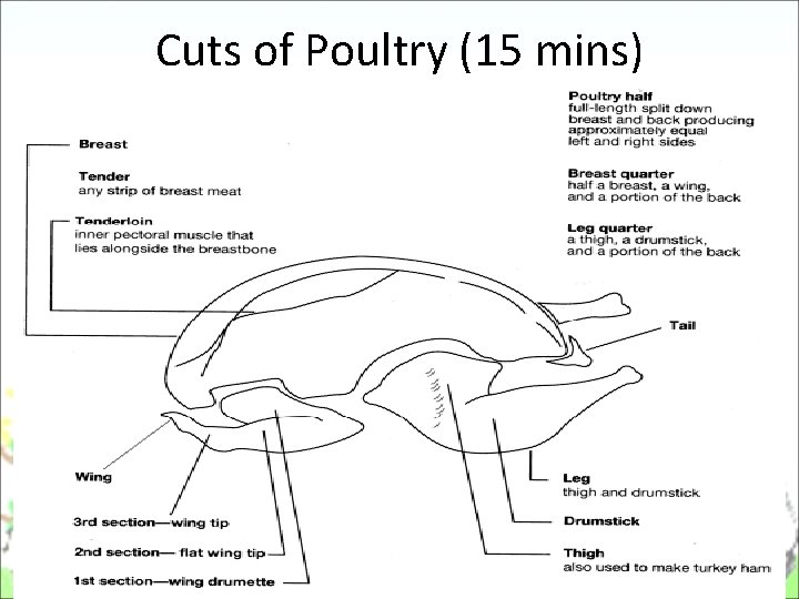 Cuts of Poultry (15 mins) Cuts of Poultry (15 mins)