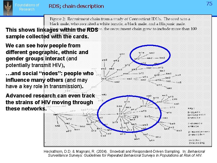 Foundations of Research RDS; chain description This shows linkages within the RDS sample collected Foundations of Research RDS; chain description This shows linkages within the RDS sample collected