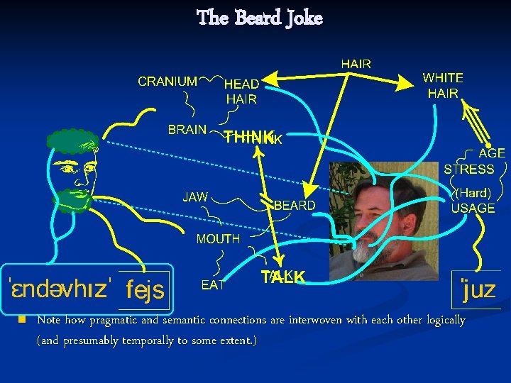 The Beard Joke n Note how pragmatic and semantic connections are interwoven with each