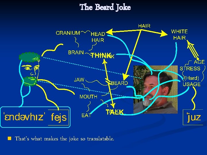 The Beard Joke n That’s what makes the joke so translatable. 