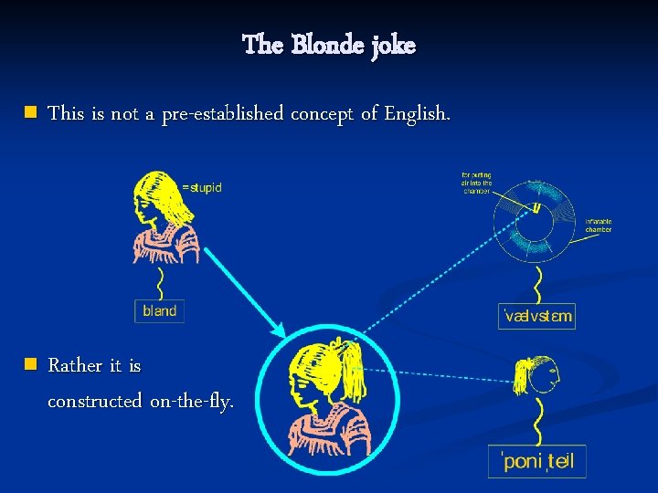 The Blonde joke n This is not a pre-established concept of English. n Rather
