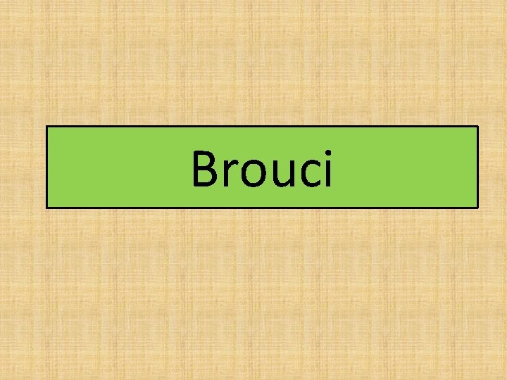 Brouci 