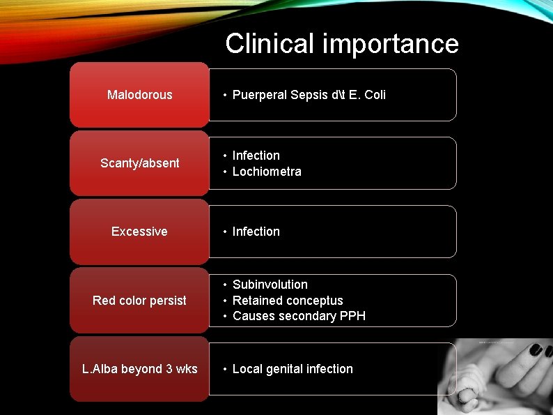 Clinical importance Malodorous Scanty/absent Excessive Red color persist L. Alba beyond 3 wks •