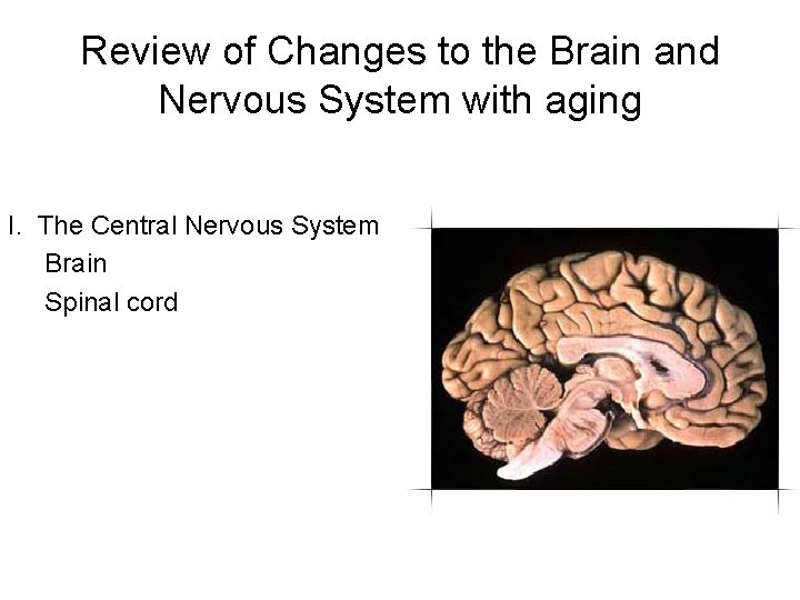 Review of Changes to the Brain and Nervous System with aging I. The Central