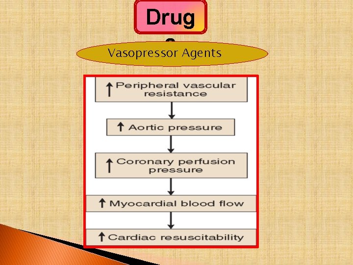 Drug s Vasopressor Agents 