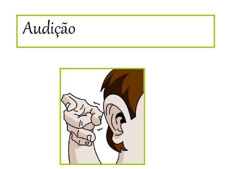 Audição 