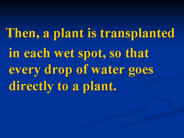Then, a plant is transplanted in each wet spot, so that every drop of