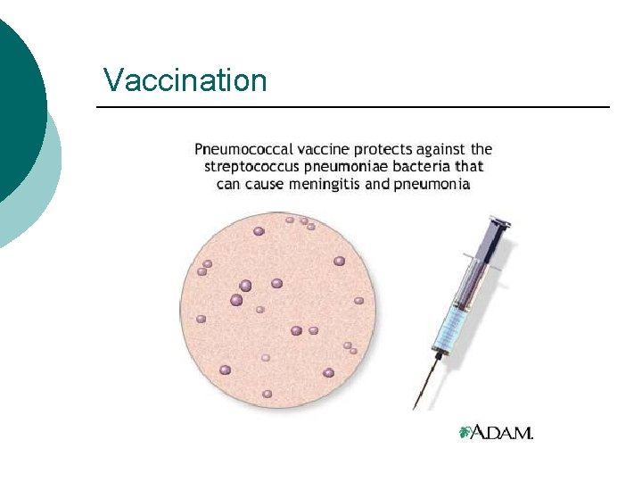 Vaccination 