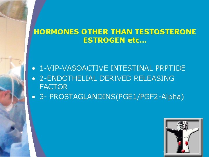 HORMONES OTHER THAN TESTOSTERONE ESTROGEN etc… • 1 -VIP-VASOACTIVE INTESTINAL PRPTIDE • 2 -ENDOTHELIAL