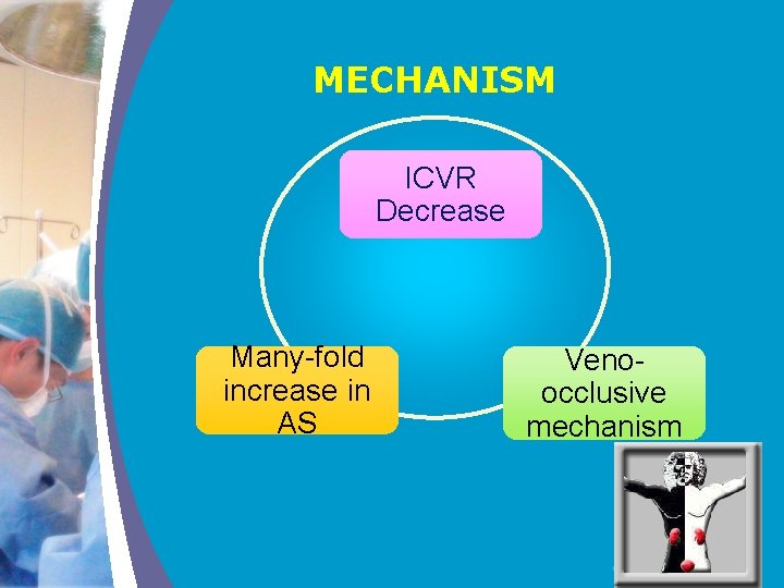 MECHANISM ICVR Decrease Many-fold increase in AS Venoocclusive mechanism COMPANY LOGO 