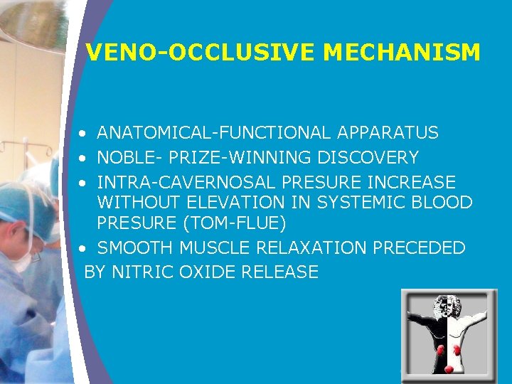 VENO-OCCLUSIVE MECHANISM • ANATOMICAL-FUNCTIONAL APPARATUS • NOBLE- PRIZE-WINNING DISCOVERY • INTRA-CAVERNOSAL PRESURE INCREASE WITHOUT