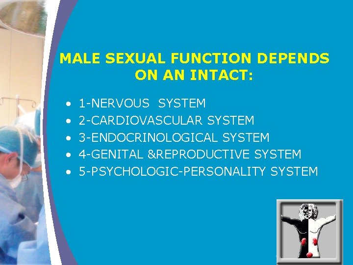 MALE SEXUAL FUNCTION DEPENDS ON AN INTACT: • • • 1 -NERVOUS SYSTEM 2