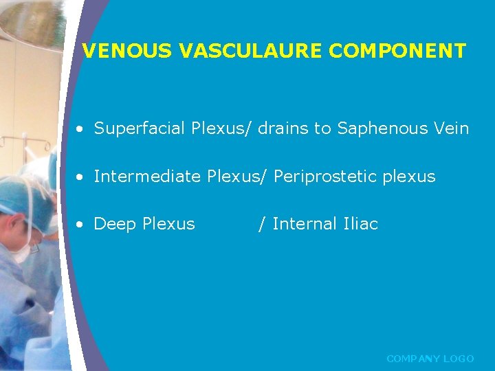 VENOUS VASCULAURE COMPONENT • Superfacial Plexus/ drains to Saphenous Vein • Intermediate Plexus/ Periprostetic