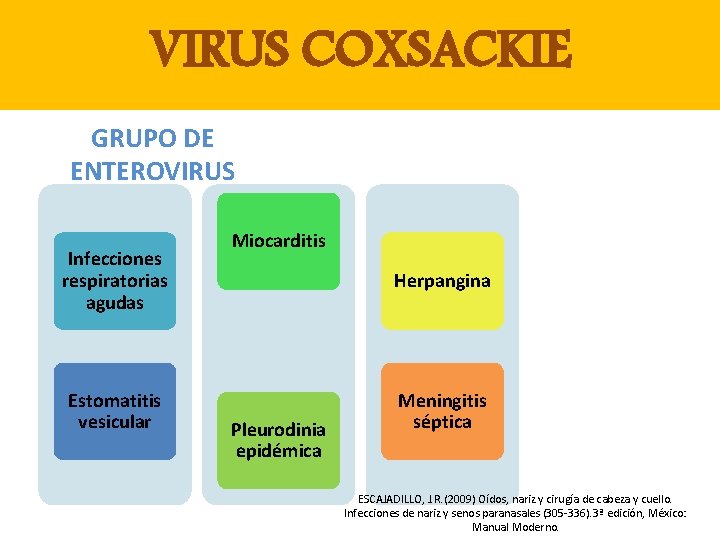 VIRUS COXSACKIE GRUPO DE ENTEROVIRUS Infecciones respiratorias agudas Estomatitis vesicular Miocarditis Herpangina Pleurodinia epidémica
