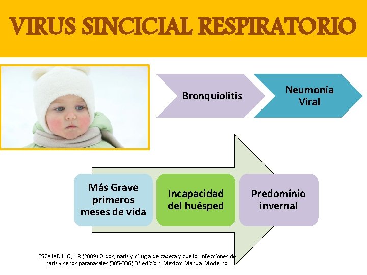 VIRUS SINCICIAL RESPIRATORIO Bronquiolitis Más Grave primeros meses de vida Incapacidad del huésped ESCAJADILLO,