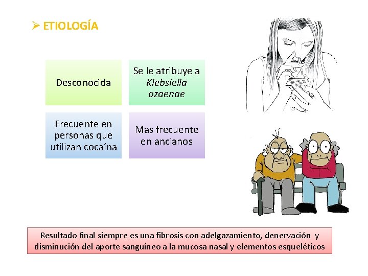 Ø ETIOLOGÍA Desconocida Se le atribuye a Klebsiella ozaenae Frecuente en personas que utilizan