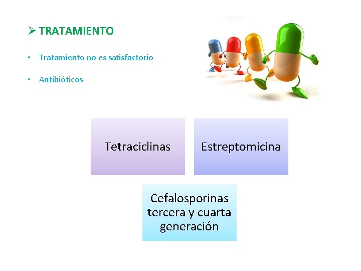 Ø TRATAMIENTO • Tratamiento no es satisfactorio • Antibióticos Tetraciclinas Estreptomicina Cefalosporinas tercera y