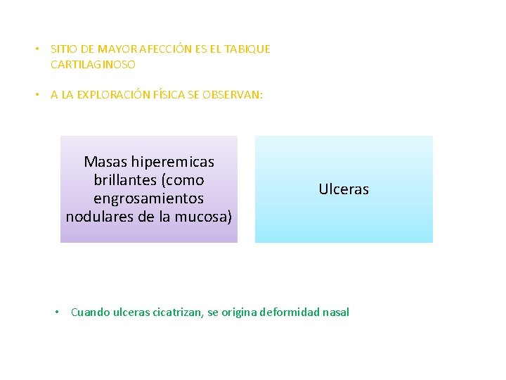  • SITIO DE MAYOR AFECCIÓN ES EL TABIQUE CARTILAGINOSO • A LA EXPLORACIÓN