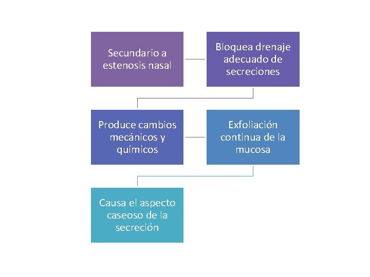 Secundario a estenosis nasal Bloquea drenaje adecuado de secreciones Produce cambios mecánicos y químicos