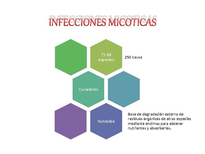 INFECCIONES MICOTICAS 75 00 especies 250 causa Eucariotes Nutrición Base de degradación externa de