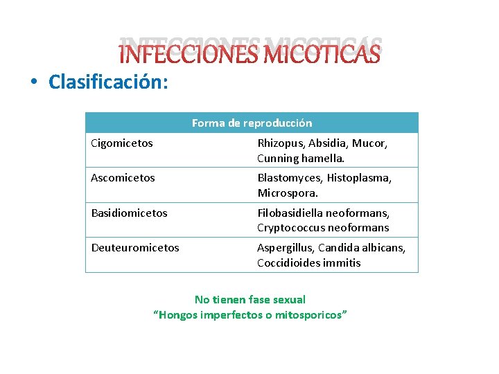 INFECCIONES MICOTICAS • Clasificación: Forma de reproducción Cigomicetos Rhizopus, Absidia, Mucor, Cunning hamella. Ascomicetos