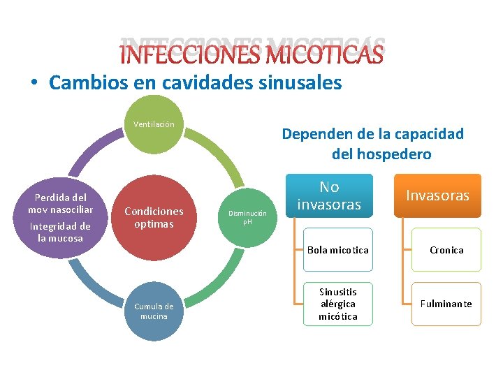 INFECCIONES MICOTICAS • Cambios en cavidades sinusales Ventilación Perdida del mov nasociliar Integridad de