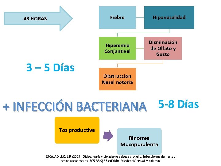 Fiebre 48 HORAS Hiperemia Conjuntival 3 – 5 Días Hiponasalidad Disminución de Olfato y