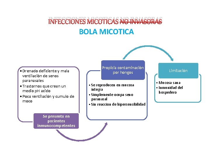 INFECCIONES MICOTICAS NO INVASORAS BOLA MICOTICA • Drenado deficiente y mala ventilación de senos