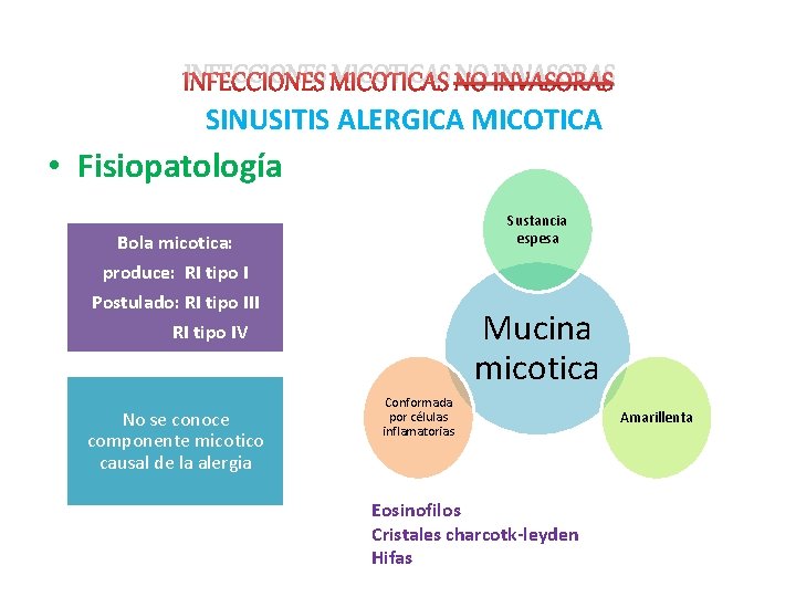 INFECCIONES MICOTICAS NO INVASORAS SINUSITIS ALERGICA MICOTICA • Fisiopatología Sustancia espesa Bola micotica: produce: