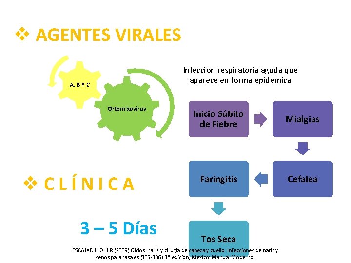 v AGENTES VIRALES Infección respiratoria aguda que aparece en forma epidémica A. B Y
