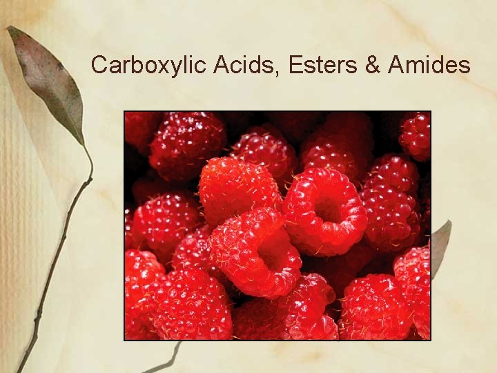 Carboxylic Acids, Esters & Amides 