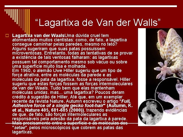 “Lagartixa de Van der Walls” o Lagartixa van der Waals. Uma dúvida cruel tem