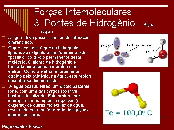 Forças Intemoleculares 3. Pontes de Hidrogênio - Água o A água, deve possuir um