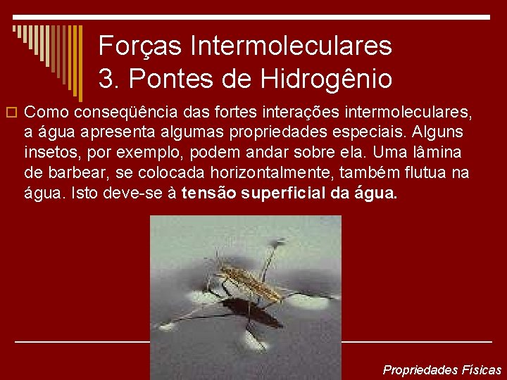 Forças Intermoleculares 3. Pontes de Hidrogênio o Como conseqüência das fortes interações intermoleculares, a