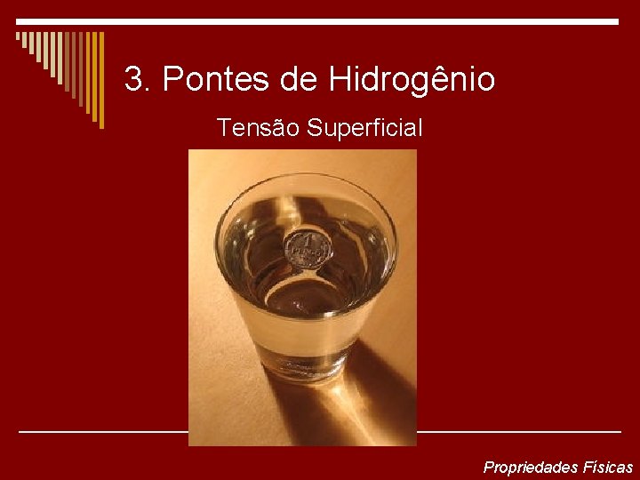 3. Pontes de Hidrogênio Tensão Superficial Propriedades Físicas 