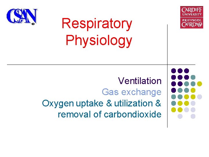 Respiratory Physiology Ventilation Gas exchange Oxygen uptake & utilization & removal of carbondioxide Respiratory Physiology Ventilation Gas exchange Oxygen uptake & utilization & removal of carbondioxide